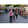 Markt_der_Kulturen_2017-09-23_DSC05010.jpg